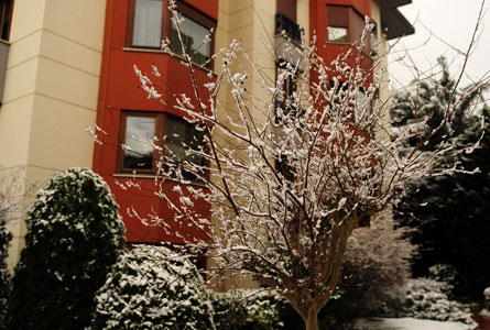 Sitemizden Kareler 34